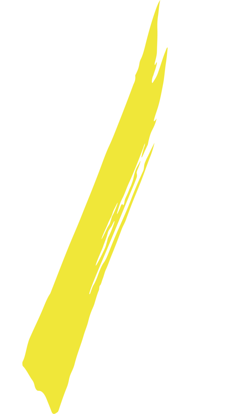 no culture logo